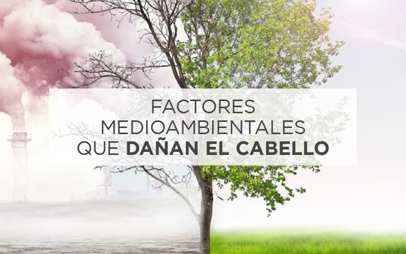 Factores medioambientales que dañan el cabello