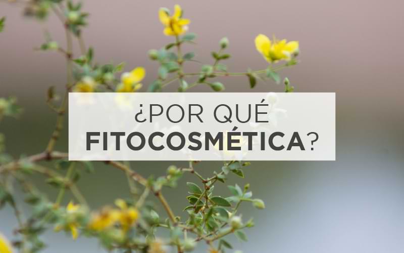 ¿Por qué Fitocosmética?